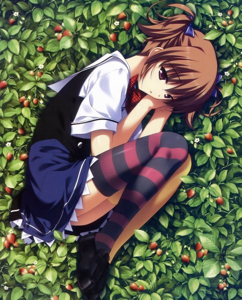 Anime picture 2896x3583 with grisaia no kajitsu irisu makina fumio (ura fmo) single tall image highres short hair red eyes brown hair different thighhighs embryo's pose girl thighhighs plant (plants) striped thighhighs