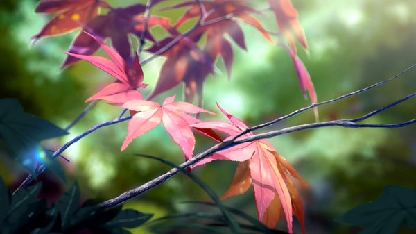 Anime picture 1920x1080 with niko p highres wide image sunlight lens flare close-up no people sunbeam leaf (leaves) branch autumn leaves maple leaf