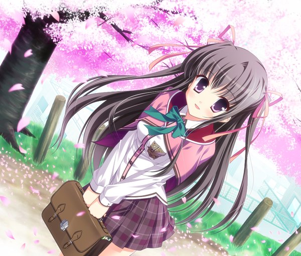 Anime picture 1024x869 with angel ring fujii sumika black hair purple eyes game cg cherry blossoms girl plant (plants) petals tree (trees) serafuku school bag