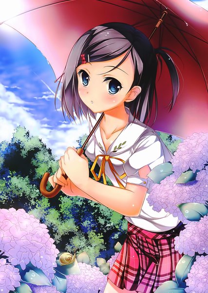 Anime picture 1422x2000 with hentai ouji to warawanai neko j.c. staff tsutsukakushi tsukiko kaho okashii single tall image blush short hair blue eyes sky cloud (clouds) one side up plaid skirt plaid girl uniform hair ornament flower (flowers) school uniform hairclip