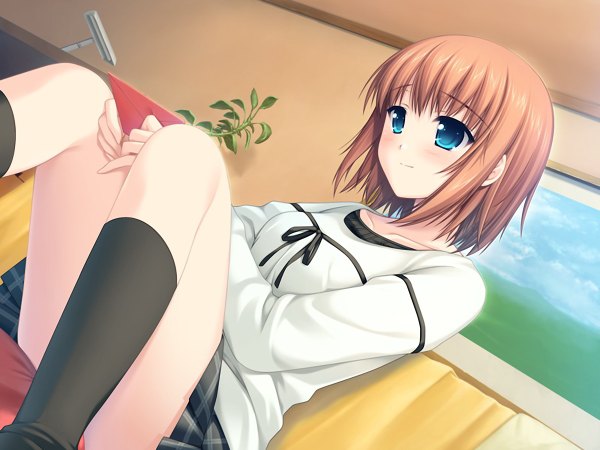 Anime picture 1200x900 with w. l. o. sekai ren'ai kikou kusaka aina blush blue eyes brown hair game cg girl plant (plants) socks