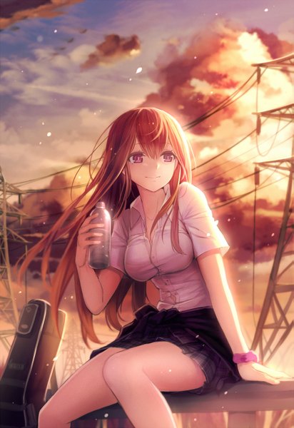 Anime picture 1015x1476 with original pen (steelleets) single long hair tall image brown hair sitting purple eyes looking away sky cloud (clouds) outdoors wind girl skirt shirt bottle power lines