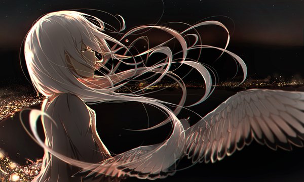 Anime picture 1600x960 with original vocaloid reluvy single long hair wide image silver hair eyes closed parted lips profile wind night night sky city cityscape city lights girl animal sea bird (birds)