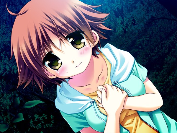 Anime picture 1024x768 with natsu yuki - summer snow miyazawa itoha blush short hair brown hair yellow eyes game cg girl