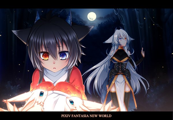 Anime picture 1733x1200 with original pixiv fantasia pixiv fantasia new world konshin long hair highres short hair black hair multiple girls animal ears silver hair horn (horns) night heterochromia girl thighhighs dress black thighhighs 2 girls animal