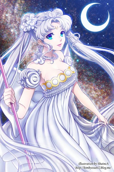 Anime picture 600x900 with bishoujo senshi sailor moon toei animation tsukino usagi princess serenity neo queen serenity shainea single long hair tall image looking at viewer fringe breasts blue eyes smile holding signed white hair hair flower lips night