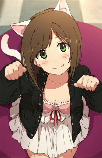 Anime picture 603x930 with idolmaster idolmaster cinderella girls maekawa miku ogipote single tall image looking at viewer blush fringe short hair smile brown hair sitting green eyes animal ears bent knee (knees) tail animal tail from above cat ears