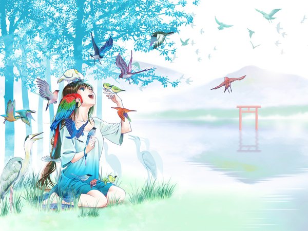 Anime picture 1024x768 with fukuoka asahi long hair open mouth blue eyes brown hair kneeling looking up animal on shoulder animal on head bird on hand bird on shoulder bird on head girl plant (plants) animal tree (trees) water bird (birds) torii parrot