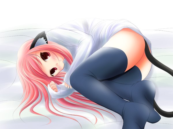 Anime picture 1600x1200 with light erotic animal ears pink hair tail cat girl girl thighhighs