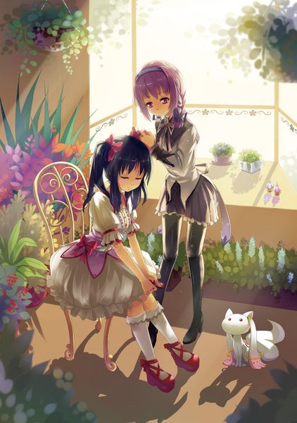 Anime picture 1024x1455 with mahou shoujo madoka magica shaft (studio) akemi homura kaname madoka kyuubee neko eel (artist) long hair tall image short hair black hair red eyes sitting twintails multiple girls pink hair eyes closed girl dress skirt ribbon (ribbons)