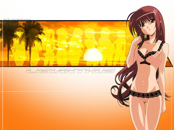 Anime picture 1600x1200 with shuffle! lisianthus hosoda naoto single long hair light erotic standing brown eyes ahoge red hair head tilt wallpaper character names underwear only lace-trimmed bra lace-trimmed panties girl underwear panties lingerie