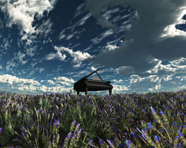 Anime picture 1280x1024 with original trbrchdm sky cloud (clouds) no people landscape field flower (flowers) plant (plants) musical instrument piano