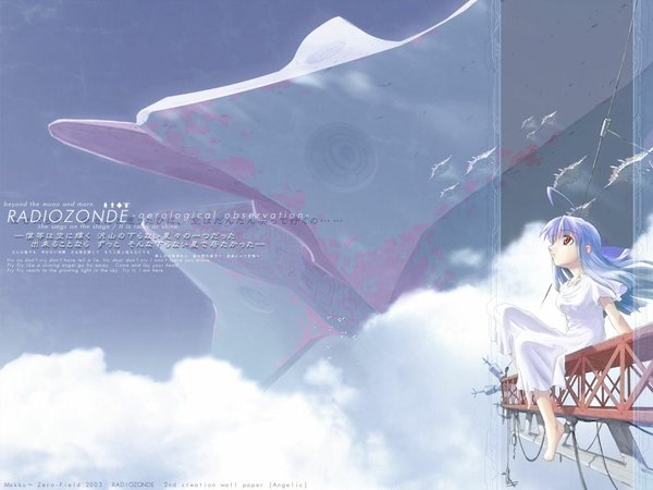 Anime picture 1024x768 with makku~ red eyes sitting blue hair sky cloud (clouds) ahoge profile barefoot wind inscription wallpaper girl dress white dress monster