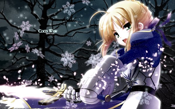 Anime picture 1920x1200 with fate (series) fate/stay night studio deen type-moon artoria pendragon (all) saber highres wide image snowing winter snow sword snowflake (snowflakes)
