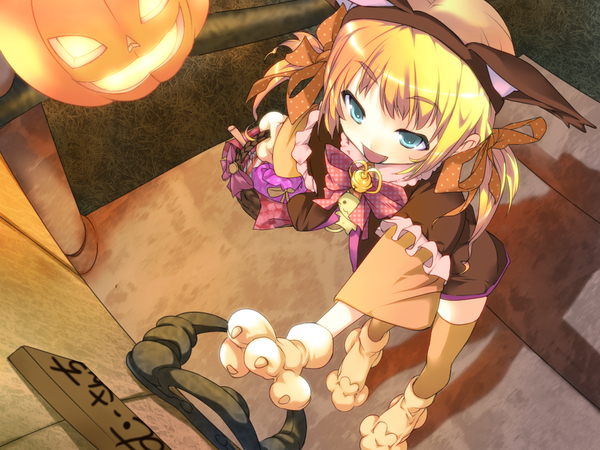 Anime picture 1024x768 with original alric (mu-h) blue eyes blonde hair twintails animal ears halloween halloween costume
