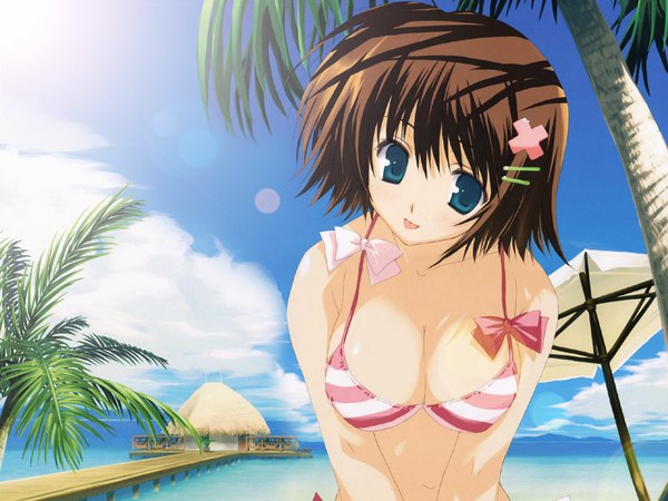 Anime picture 1024x768 with mitsumi misato breasts blue eyes light erotic brown hair beach hair ornament ribbon (ribbons) swimsuit plant (plants) tree (trees) bobby pin x hair ornament bikini top palm tree