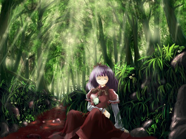 Anime picture 1024x768 with touhou yasaka kanako landscape nature girl tree (trees) forest