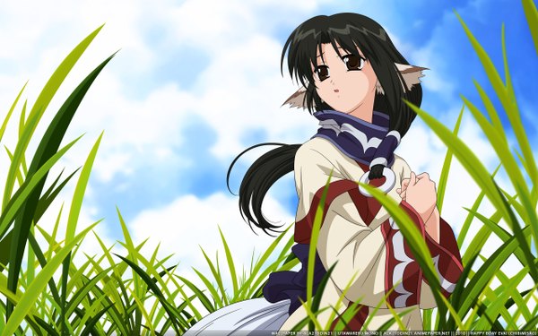 Anime picture 2560x1600 with utawareru mono eruruw ala21ddin21 highres black hair wide image brown eyes animal ears