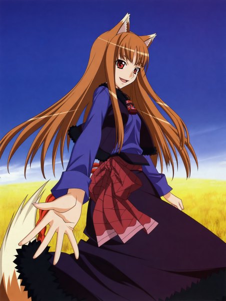 Anime picture 2412x3200 with spice and wolf horo long hair tall image highres smile red eyes brown hair absurdres sky wolf ears wolf tail wolf girl field girl