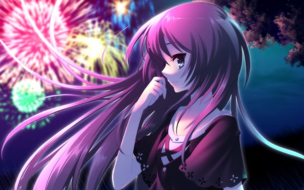 Anime picture 1920x1200 with highres blue eyes wide image purple hair night salute girl