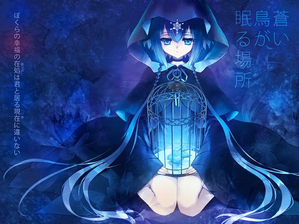 Anime picture 1024x768 with vocaloid aoki lapis carnelian single long hair blue eyes twintails blue hair blue background girl animal bird (birds) hood cage