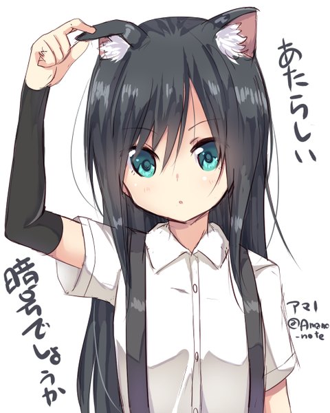 Anime picture 1024x1280 with kantai collection asashio destroyer amano kouki single long hair tall image looking at viewer blush fringe open mouth black hair simple background white background holding animal ears aqua eyes cat ears inscription :o short sleeves