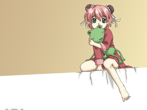 Anime picture 1600x1200 with read or die j.c. staff anita king frog tagme