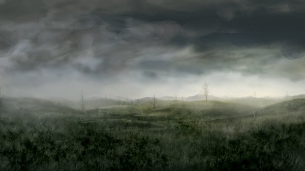 Anime picture 2500x1406 with lm7 (op-center) highres wide image sky cloud (clouds) no people landscape fog plant (plants) tree (trees) grass