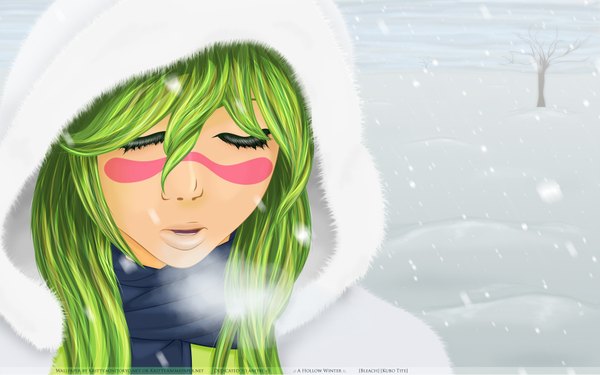 Anime picture 1920x1200 with bleach studio pierrot nelliel tu odelschwanck single long hair highres open mouth wide image eyes closed green hair wind snowing winter snow exhalation espada girl plant (plants) tree (trees) scarf
