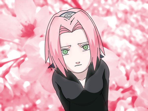 Anime picture 1024x768 with naruto studio pierrot naruto (series) haruno sakura pink background tagme