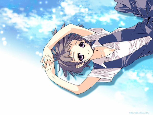 Anime picture 1024x768 with 888 short hair brown hair purple eyes lying arms up water
