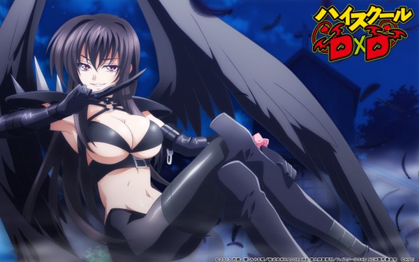 Anime picture 2560x1600 with highschool dxd raynare (dxd) single long hair looking at viewer highres breasts light erotic black hair large breasts purple eyes girl thighhighs gloves navel black thighhighs wings black gloves elbow gloves
