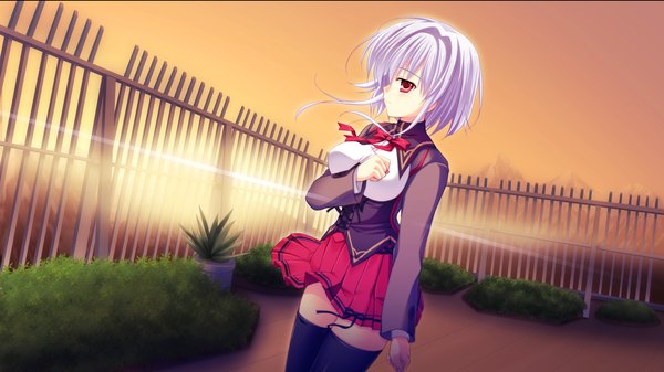 Anime picture 2560x1440 with manatsu no yoru no yuki monogatari shinjou yukina mikeou highres short hair red eyes wide image game cg white hair girl thighhighs skirt uniform black thighhighs school uniform miniskirt