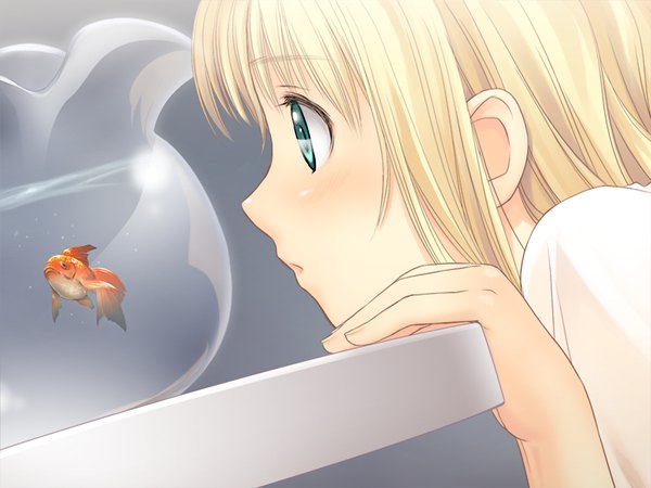 Anime picture 1024x768 with france shoujo shoujo tony taka long hair blonde hair green eyes game cg loli girl fish (fishes)