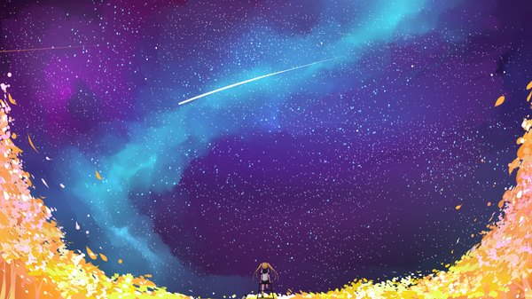 Anime picture 1920x1080 with original axle single long hair highres brown hair wide image sitting twintails signed full body outdoors from behind night arm support wallpaper night sky scenic shooting star milky way