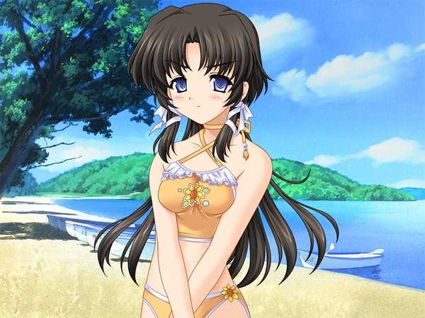 Anime picture 1200x900 with blue eyes black hair game cg beach girl ribbon (ribbons) swimsuit plant (plants) tree (trees)