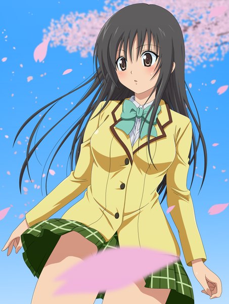 Anime picture 1700x2250 with toloveru xebec kotegawa yui toshi5765 single long hair tall image highres black hair brown eyes cherry blossoms girl bow petals