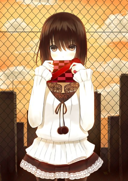 Anime picture 1000x1414 with original kauto single long hair tall image looking at viewer blush simple background brown hair brown eyes city valentine girl dress building (buildings) gift fence box