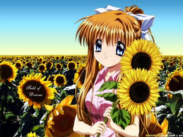 Anime picture 1280x960 with air key (studio) kamio misuzu girl sunflower tagme