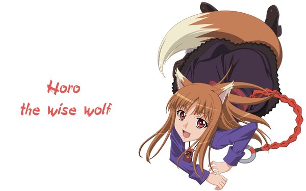 Anime picture 1680x1050 with spice and wolf horo wide image white background