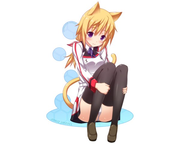 Anime picture 1920x1536 with infinite stratos 8bit charles dunois single long hair blush highres light erotic smile sitting purple eyes animal ears cat ears cat tail pantyshot pantyshot sitting girl thighhighs uniform black thighhighs