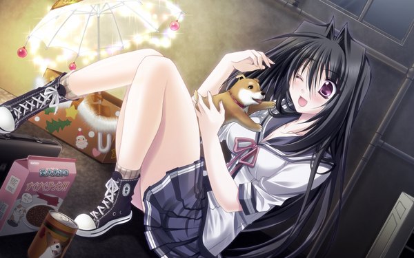 Anime picture 1024x640 with hatsukoi yohou (game) long hair open mouth black hair wide image game cg pink eyes girl serafuku umbrella dog