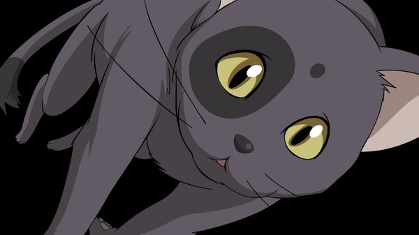 Anime picture 2000x1125 with code geass sunrise (studio) arthur (code geass) highres simple background wide image animal ears cat ears black background vector animal cat mustache