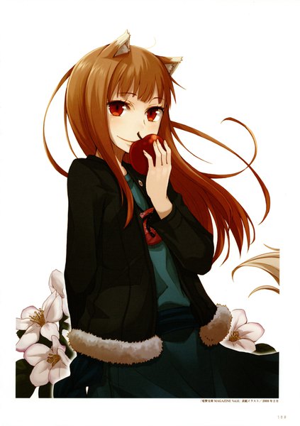 Anime picture 2455x3482 with spice and wolf horo ayakura juu single long hair tall image fringe highres simple background smile red eyes brown hair white background holding animal ears looking away tail blunt bangs animal tail wind