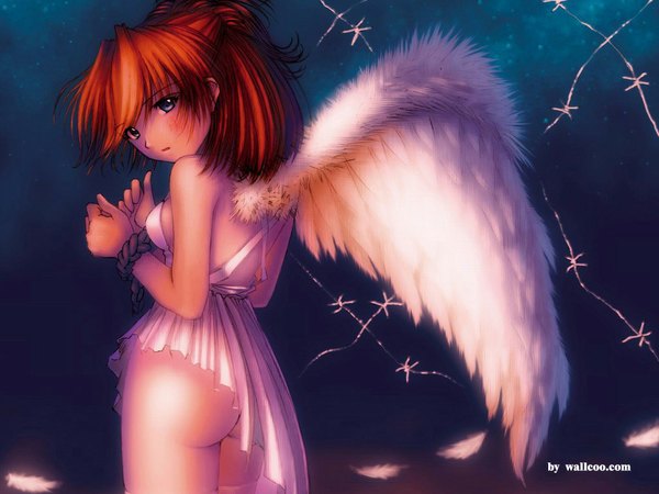 Anime picture 1024x768 with neon genesis evangelion gainax soryu asuka langley kobayashi yuji single blue eyes light erotic ass red hair looking back wallpaper angel wings angel bound hands wings feather (feathers) rope