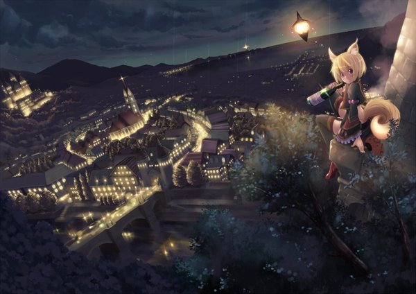 Anime picture 1417x1002 with fantasy earth zero ryouku animal ears tail night city landscape city lights girl bottle