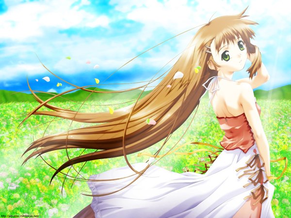 Anime picture 1600x1200 with natsukage yuuki nao (natsukage) tajima nao single long hair looking at viewer fringe brown hair standing bare shoulders green eyes cloud (clouds) outdoors head tilt looking back wind from behind sunlight back turning head