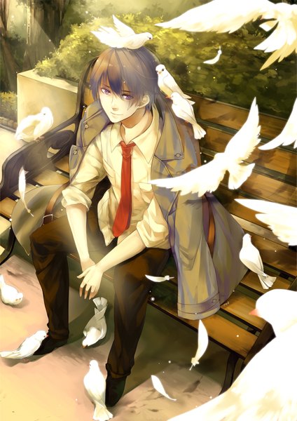 Anime picture 1240x1754 with original tooaya single tall image looking at viewer short hair black hair sitting purple eyes light smile nature boy animal necktie bird (birds) pants feather (feathers) bench pigeon