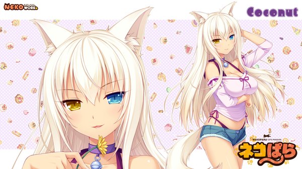 Anime picture 1920x1080 with neko paradise neko works (studio) coconut (sayori) sayori single looking at viewer blush highres breasts open mouth blue eyes light erotic simple background smile wide image large breasts animal ears yellow eyes ahoge white hair