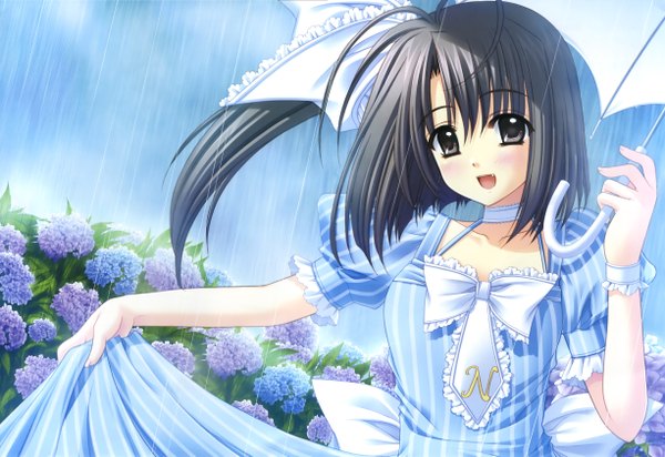 Anime picture 4904x3373 with oretachi ni tsubasa wa nai ootori naru nishimata aoi single looking at viewer blush highres short hair black hair one side up rain girl dress flower (flowers) umbrella blue dress hydrangea